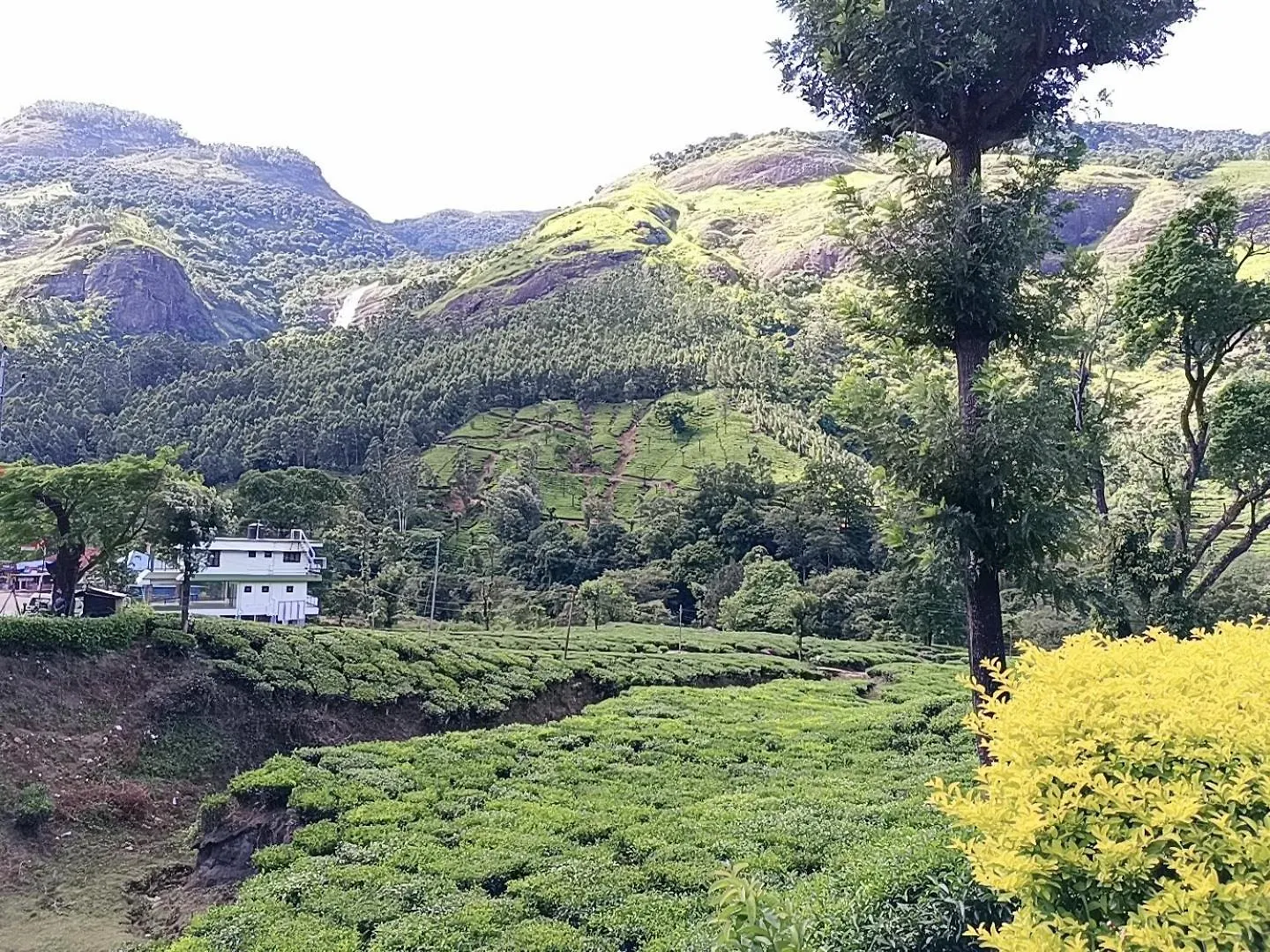 Проживание в семье Munnar Home Stay