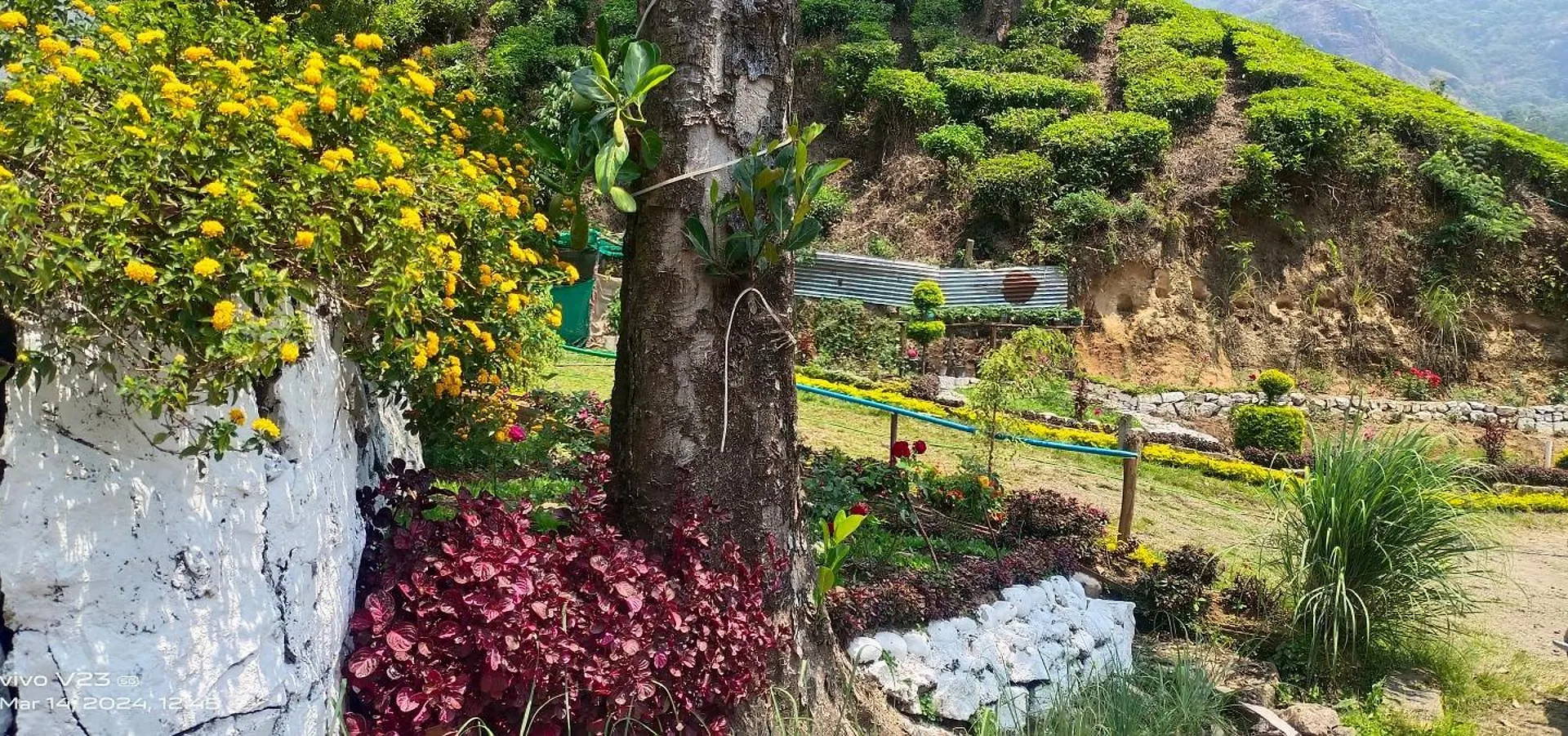 Проживание в семье Munnar Home Stay Индия