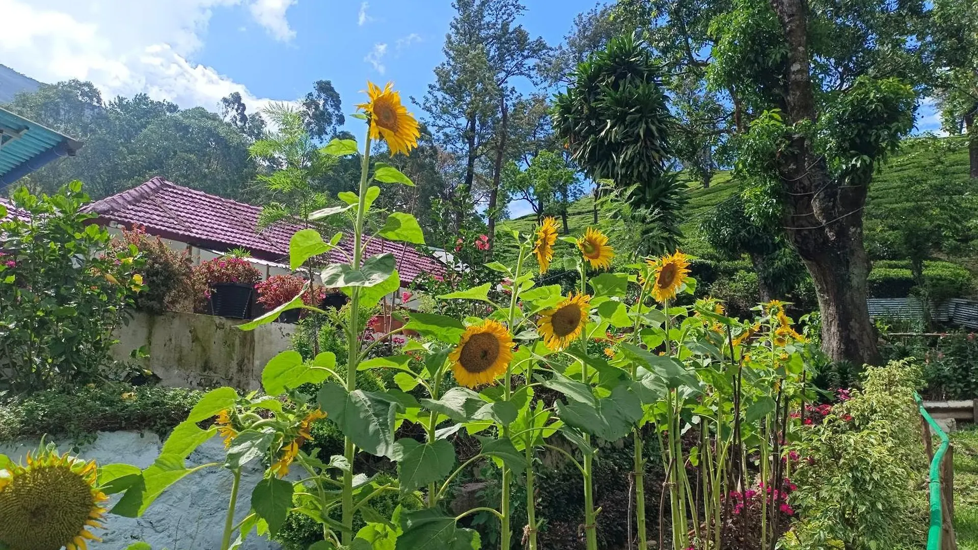 Munnar Home Stay 0*,  Индия